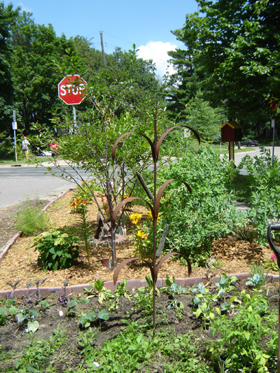 Prospect Park Garden Walk 2015