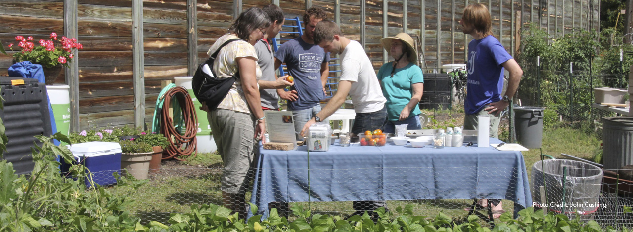 Prospect Park Minneapolis Community Garden